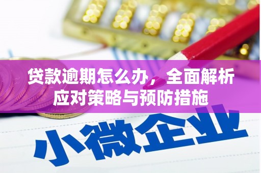 祁连贷款逾期怎么办，全面解析应对策略与预防措施