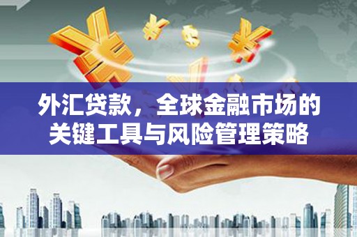 祁连外汇贷款，全球金融市场的关键工具与风险管理策略