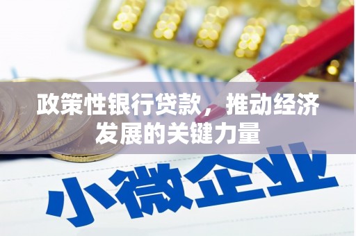 祁连政策性银行贷款，推动经济发展的关键力量