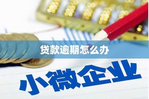 祁连贷款逾期怎么办
