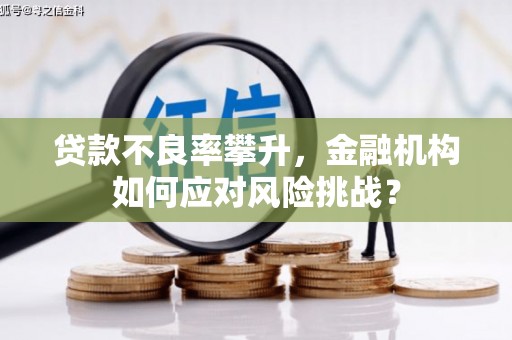 祁连贷款不良率攀升，金融机构如何应对风险挑战？