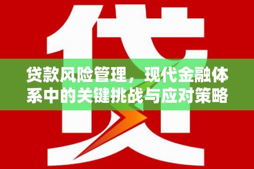 祁连贷款风险管理，现代金融体系中的关键挑战与应对策略