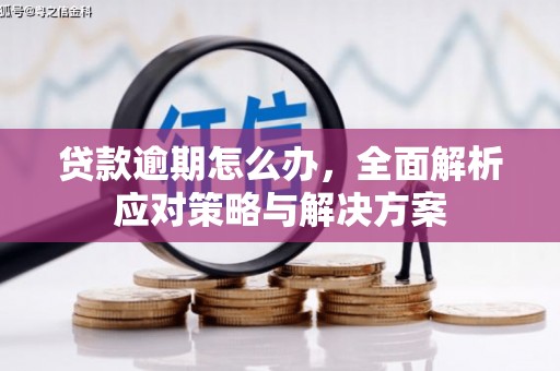 祁连贷款逾期怎么办，全面解析应对策略与解决方案